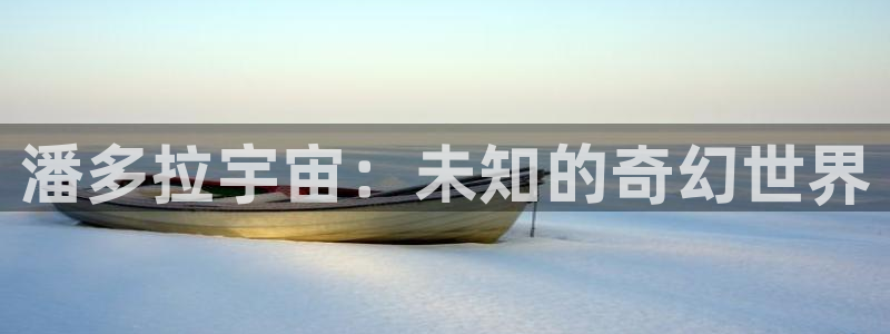 杏鑫注册登录代理公司