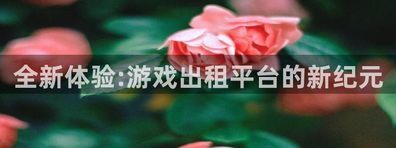 杏鑫代理注册登录不上：全新体验:游戏出租平台的新纪元