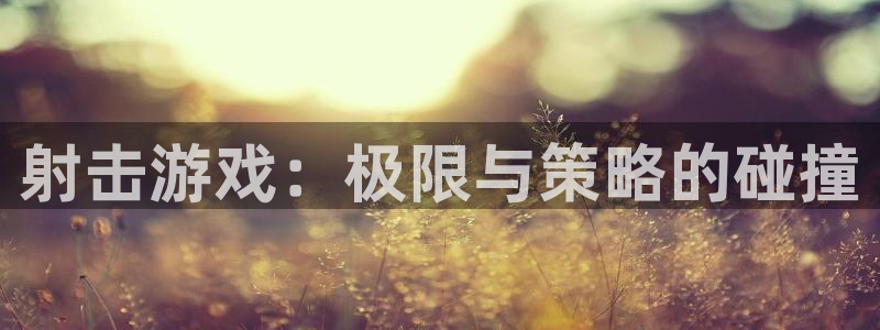 杏鑫平台下载安装