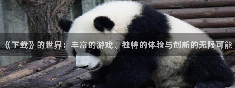 杏鑫平台总代理地址