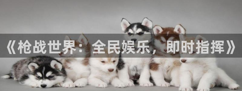 杏鑫娱乐：《枪战世界：全民娱乐，即时指挥》