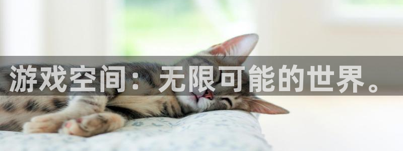 杏鑫娱乐是合法的吗?：游戏空间：无限可能的世界。