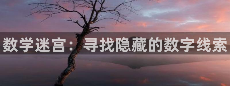 杏鑫注册平台官方网站入口：数学迷宫：寻找隐藏的数字线索
