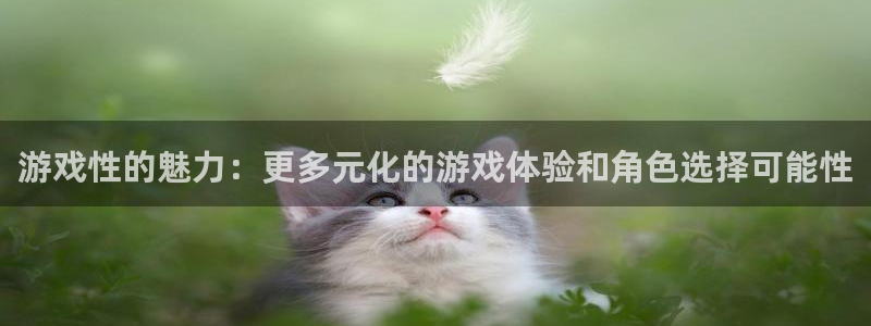 杏鑫注册登录地址：游戏性的魅力：更多元化的游戏体验和角色选择