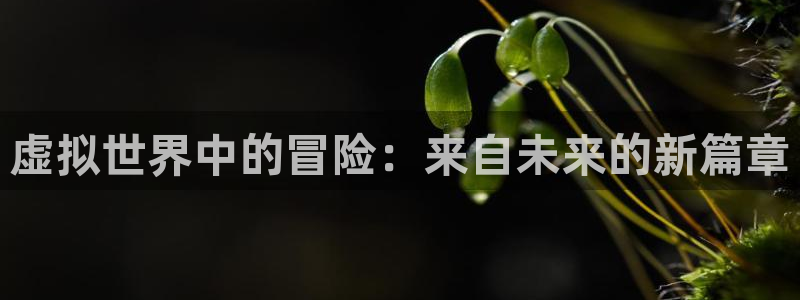 杏鑫手机客户端下载：虚拟世界中的冒险：来自未来的新篇章