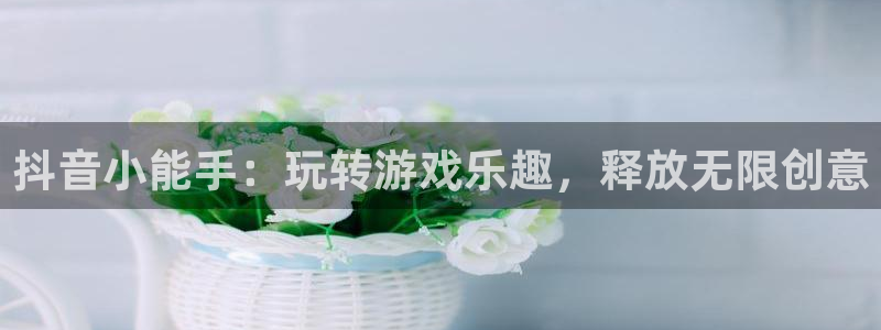 杏鑫注册平台官方网站入口查询