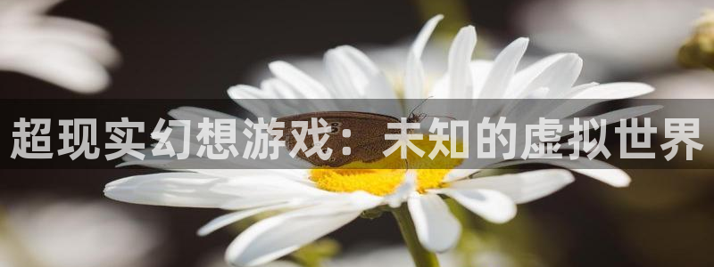 杏鑫总代：超现实幻想游戏：未知的虚拟世界
