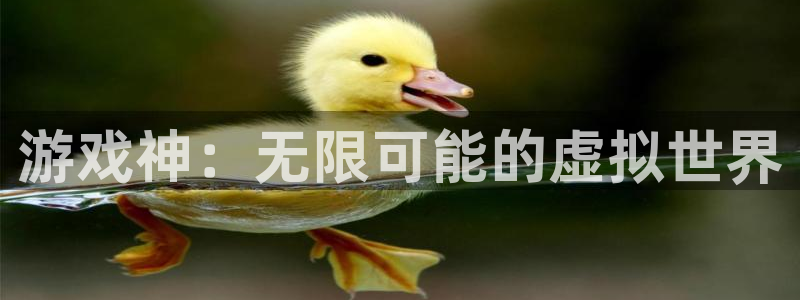 杏鑫平台下载安装