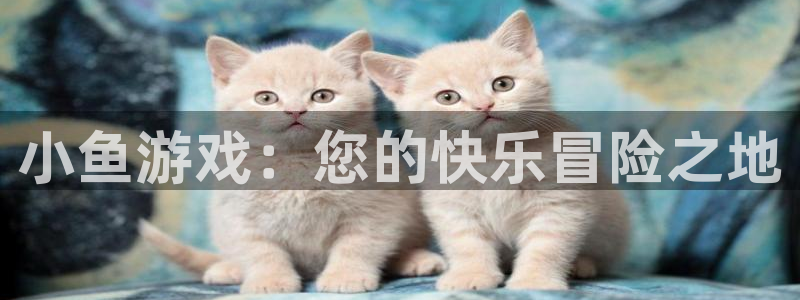 杏鑫平台总代理地址