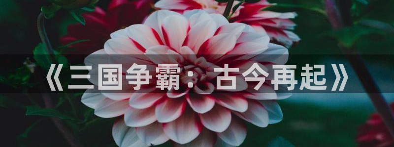 杏鑫平台注册登录入口官网