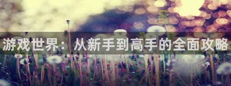 杏鑫注册登陆：游戏世界：从新手到高手的全面攻略