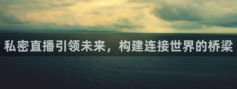 nba山猫直播体育：私密直播引领未来，构建连接世界的桥梁