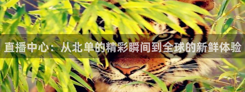 山猫体育免费篮球直播：直播中心：从北单的精彩瞬间到全球的新鲜体验