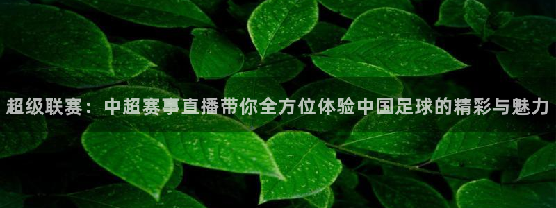 山猫体育下载：超级联赛：中超赛事直播带你全方位体验中国足球的精彩与魅力