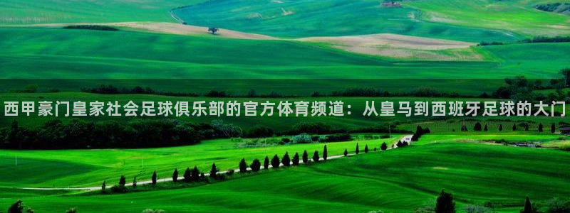 山猫体育免费直播：西甲豪门皇家社会足球俱乐部的官方体育频道：从皇马到西班牙足球的大门
