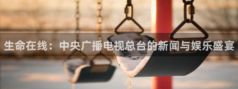 山猫直播免费足球直播：生命在线：中央广播电视总台的新闻与娱乐盛宴