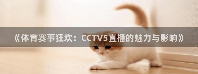 山猫nba直播免费直播：《体育赛事狂欢：CCTV5直播的魅力与影响》