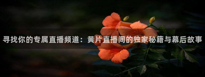 山猫免费直播体育nba：寻找你的专属直播频道：黄片直播间的独家秘籍与幕后故事