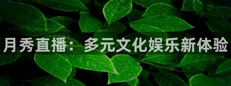 山猫足球免费直播高清视频：月秀直播：多元文化娱乐新体验