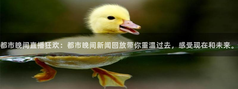 山猫体育赛事直播苹果版下载：都市晚间直播狂欢：都市晚间新闻回放带你重温过去，感受现在和未来。